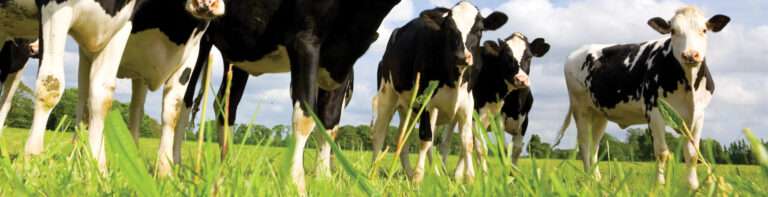 Agricultural Precast